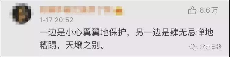 开奔驰进故宫的她一夜删光近10年微博 这就完事了?